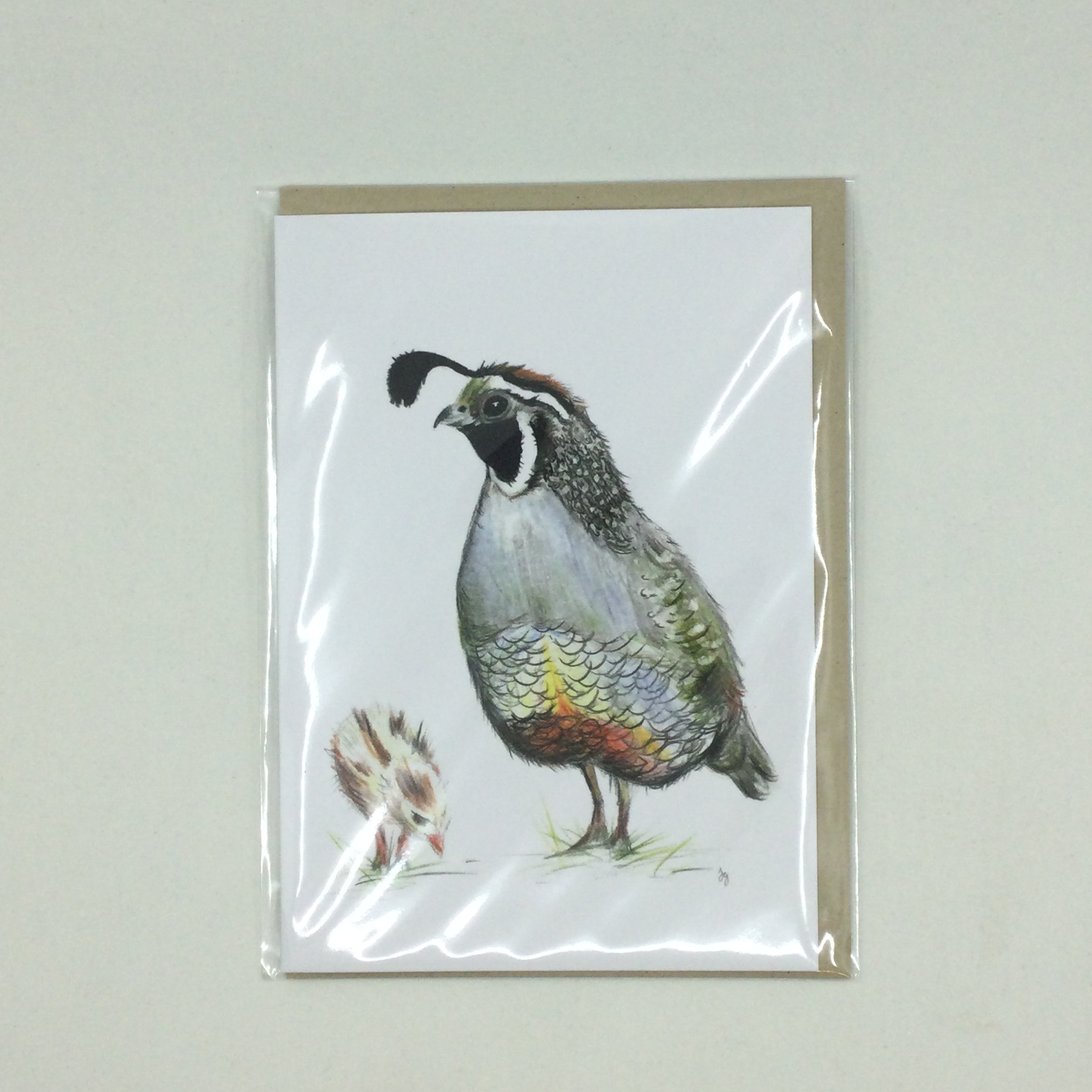 Local Art Cards by Jennifer Giffin - Quail