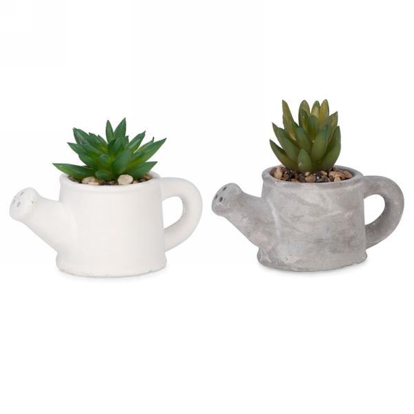 mini succulent watering Succulent Watering Can Pot