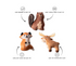 Plush Dog Toy - Set of 3 - All Variants Detailed