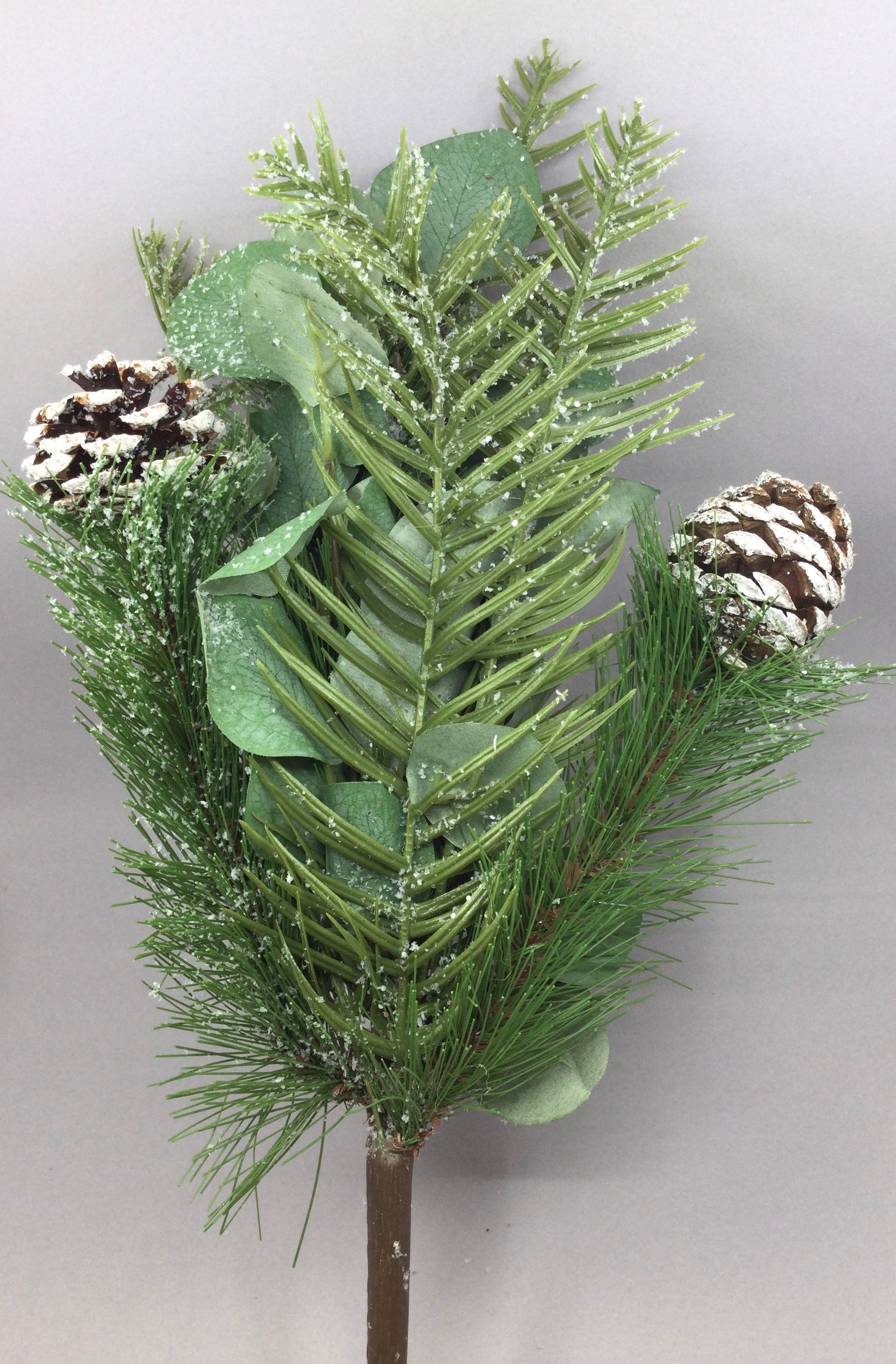 Pine Bough with Cones