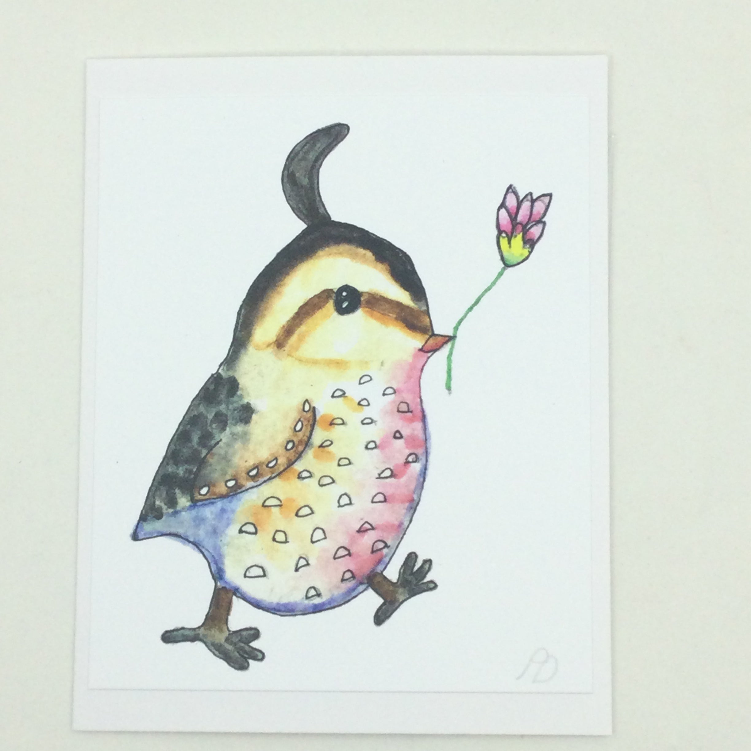 Greeting Cards by Tania Gerdel - Louie The Baby Quail