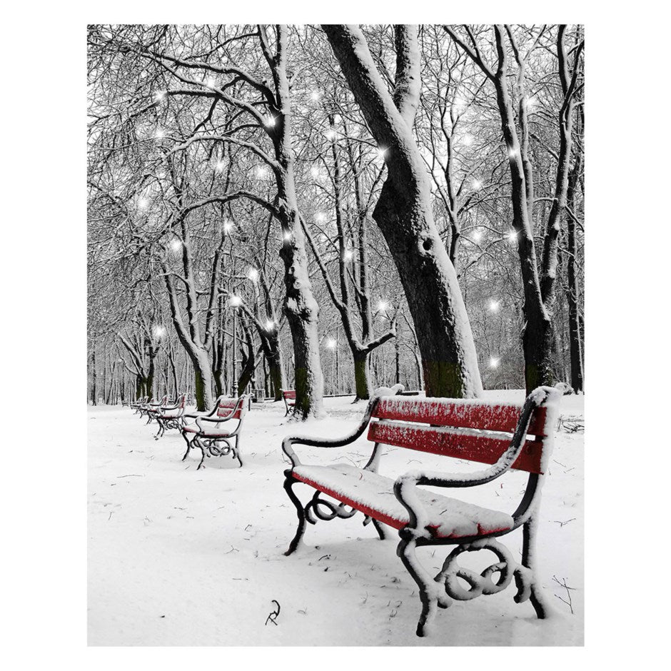 LED Canvas Print - Bench In The Park