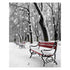 LED Canvas Print - Bench In The Park