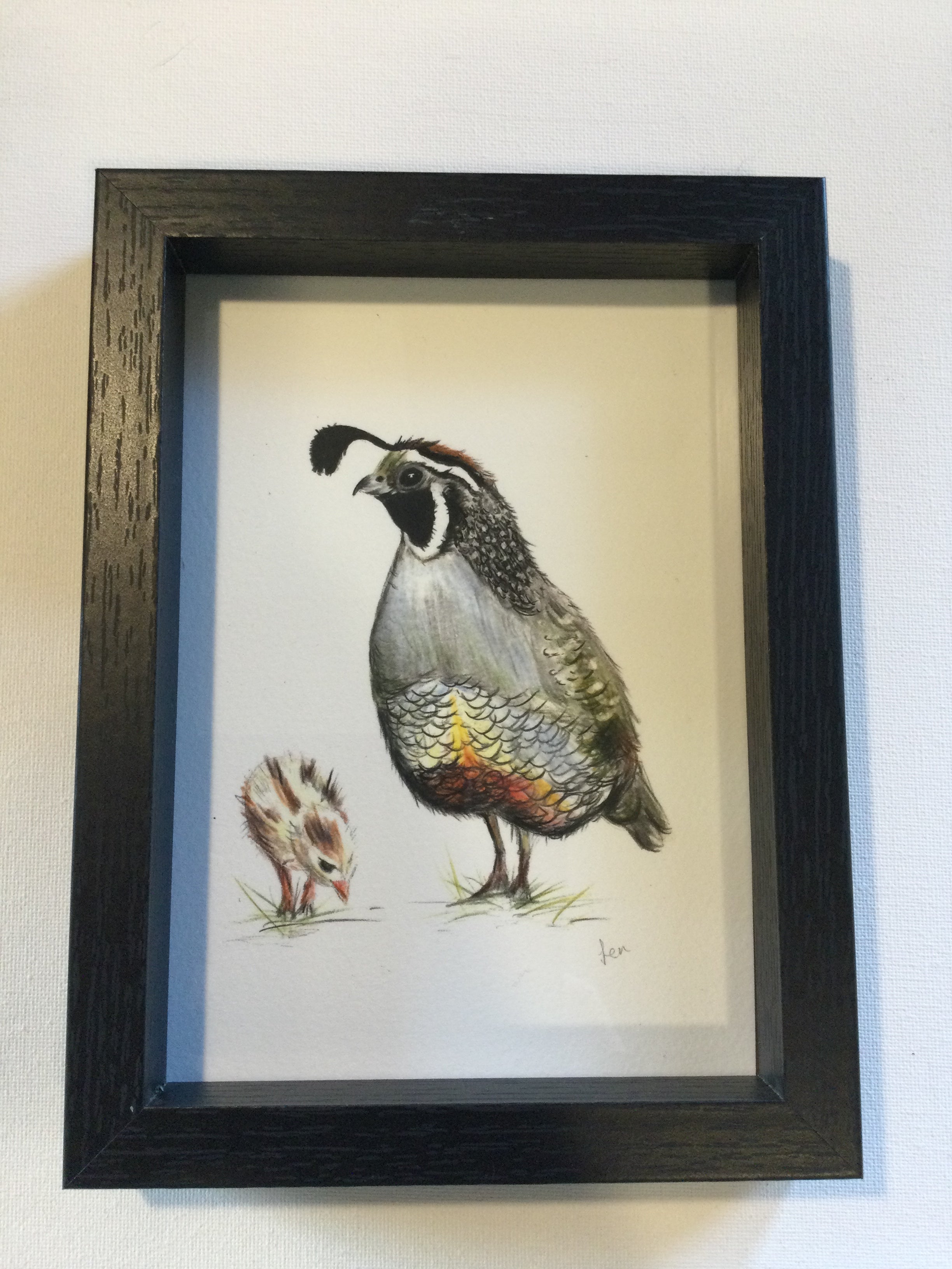 Framed Art Prints by Jennifer Giffin - Quail Black Frame