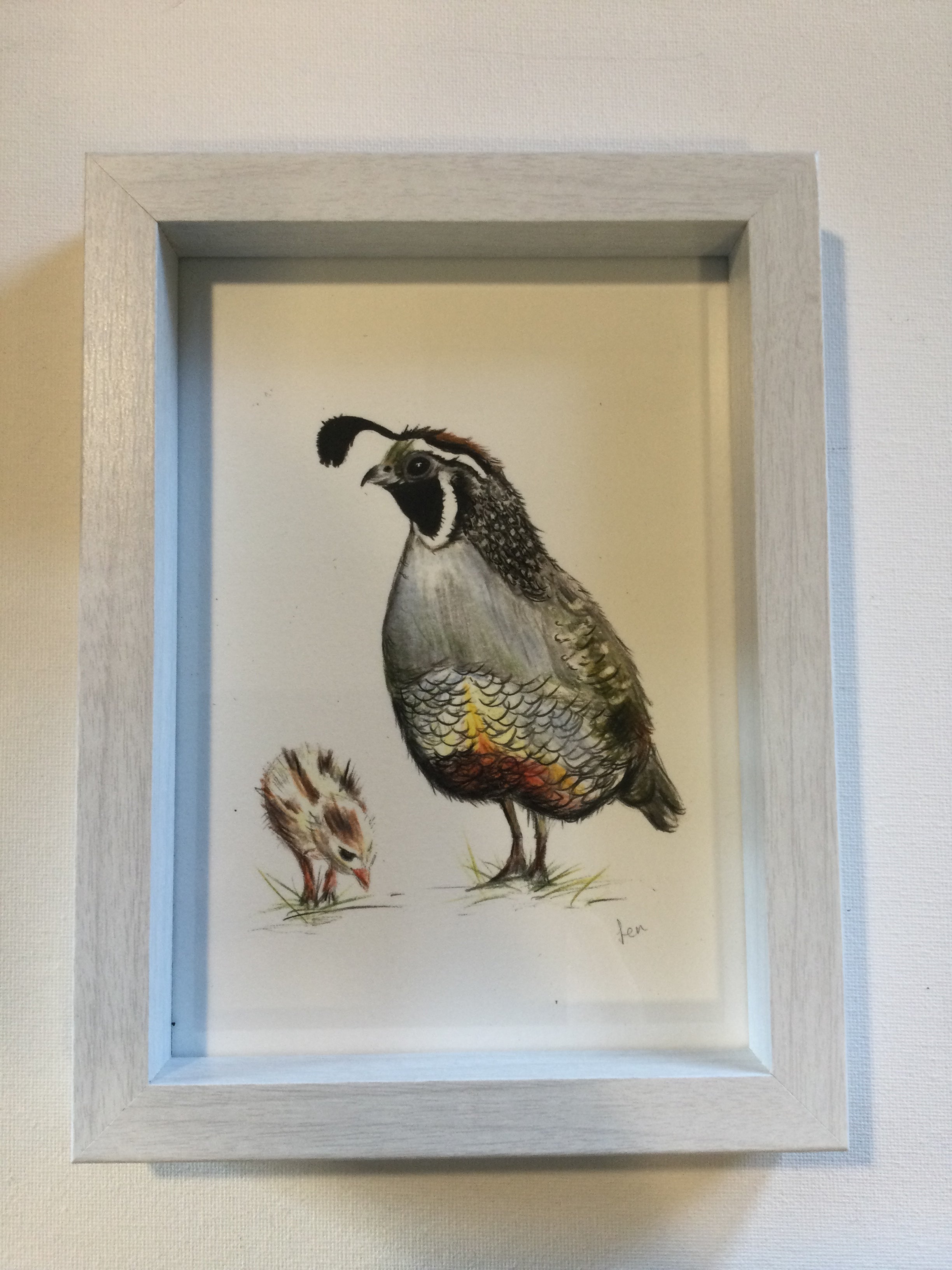 Framed Art Prints by Jennifer Giffin - Quail White Frame