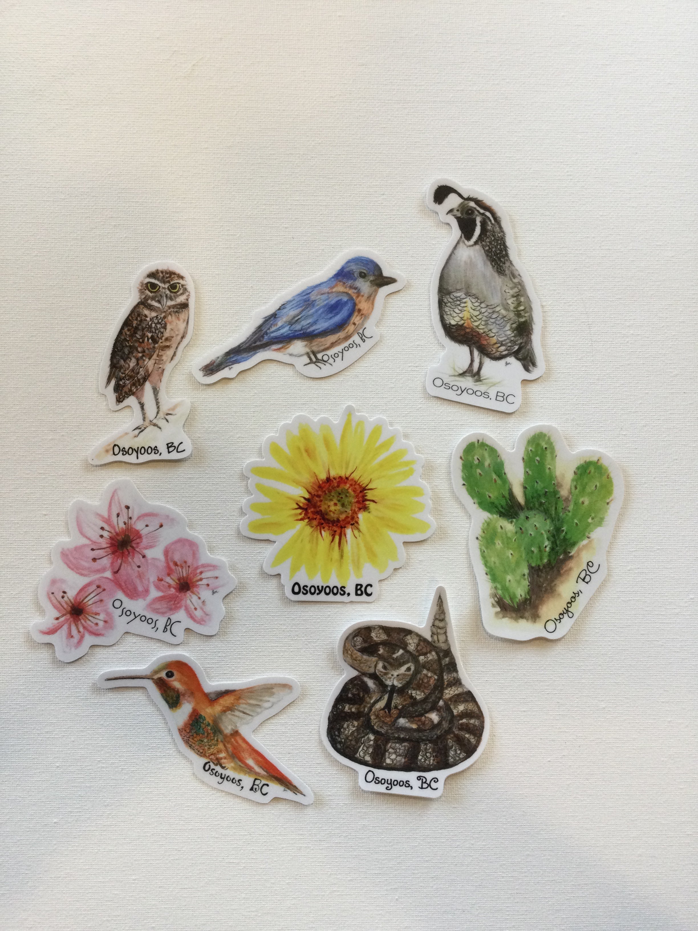 Osoyoos Vinyl Stickers - All Variants