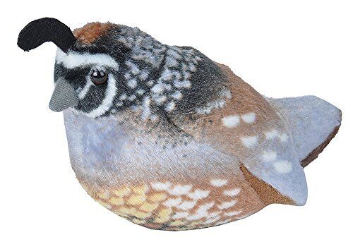 Plush California Quail