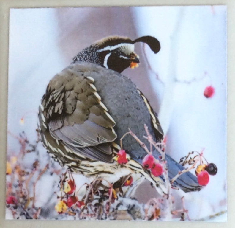 Ceramic Magnets by Greg Reely