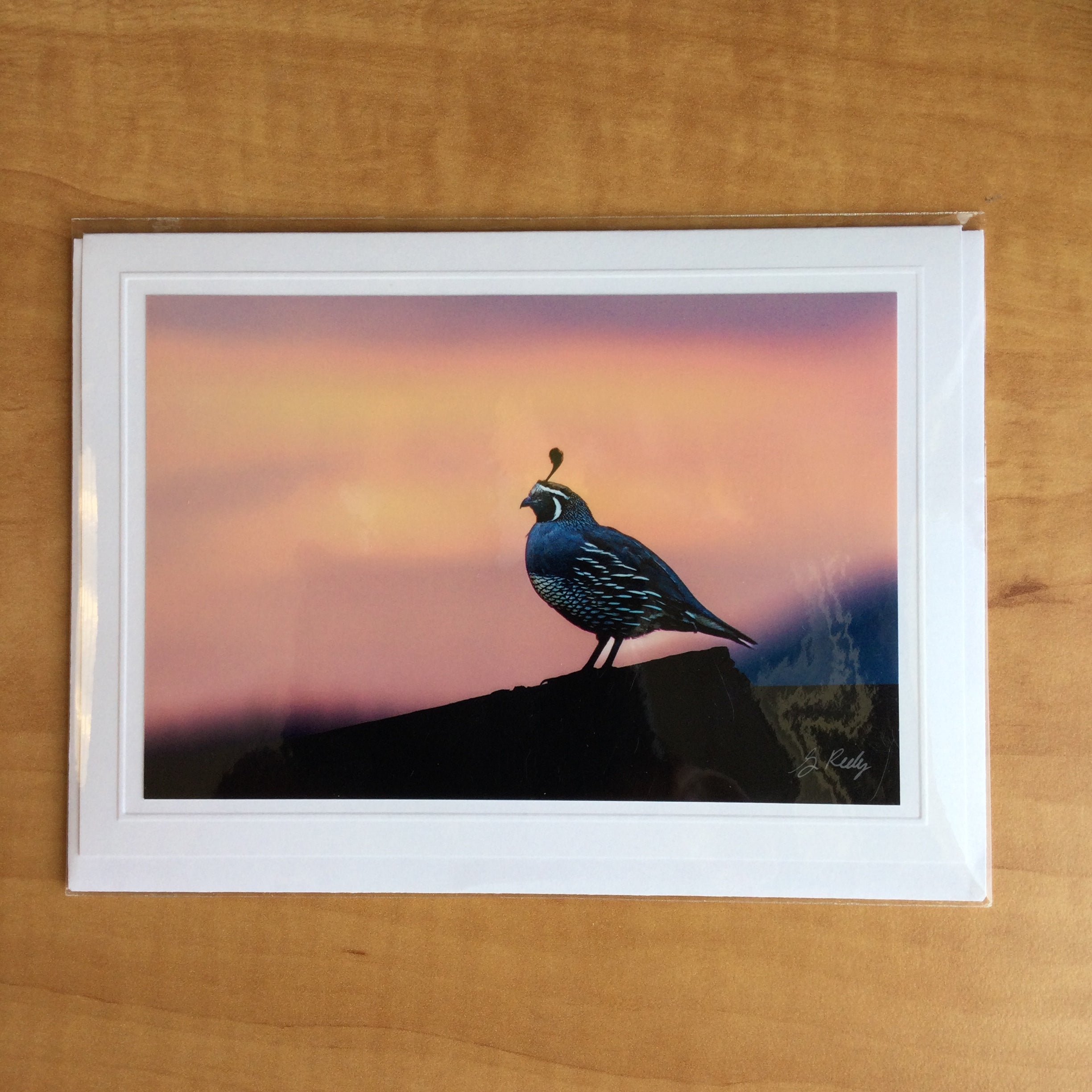Photography Greeting Cards by Greg Reely