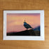 Photography Greeting Cards by Greg Reely