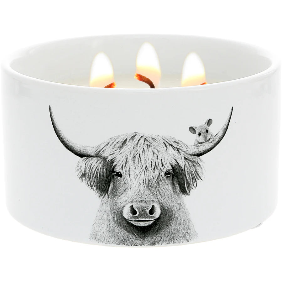 100% Soy Wax Reveal Candle