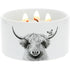 100% Soy Wax Reveal Candle