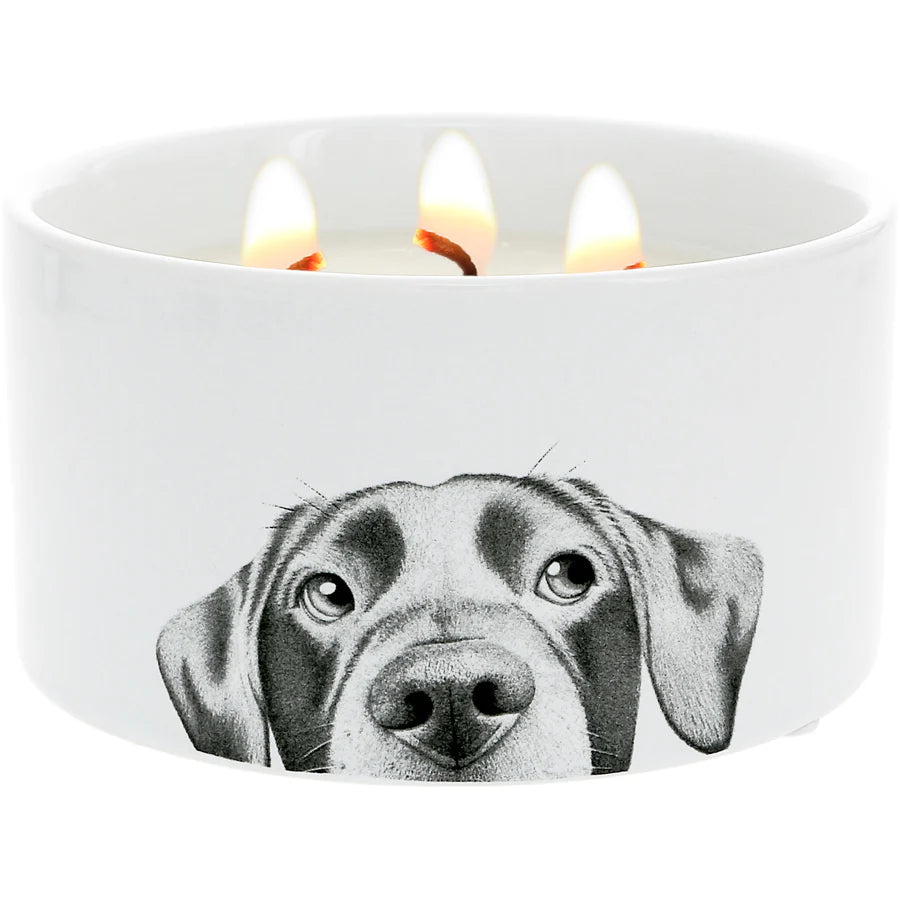 100% Soy Wax Reveal Candle