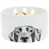 100% Soy Wax Reveal Candle