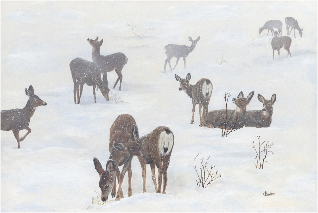 Greeting Cards by Claudia Punter