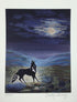 Dorothy Tinning Art Prints - Midnight Coyote