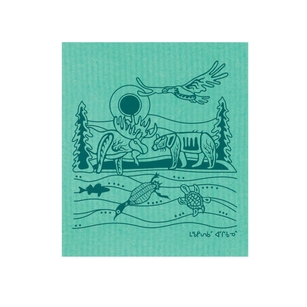 Eco Cloth