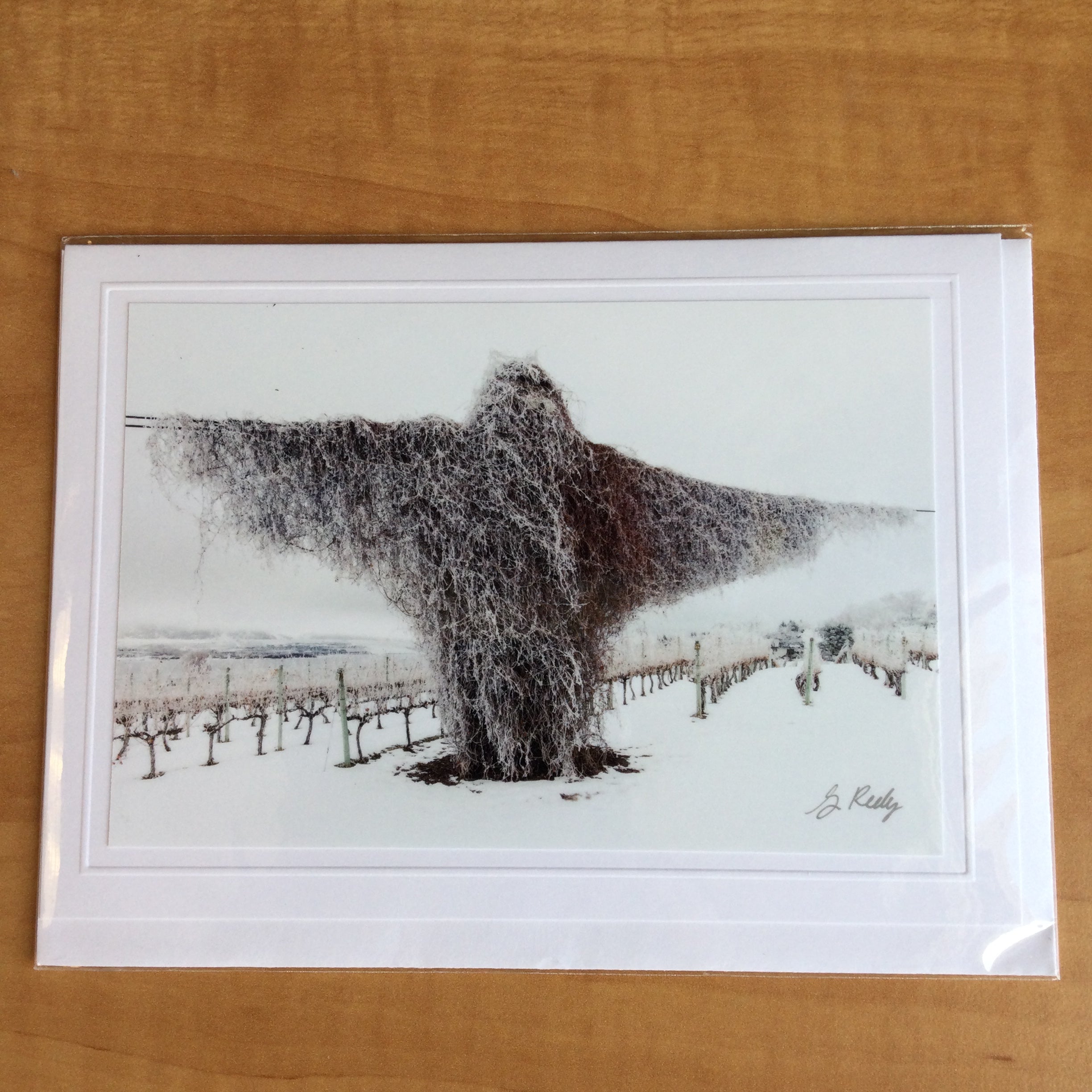 Photography Greeting Cards by Greg Reely