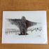 Photography Greeting Cards by Greg Reely