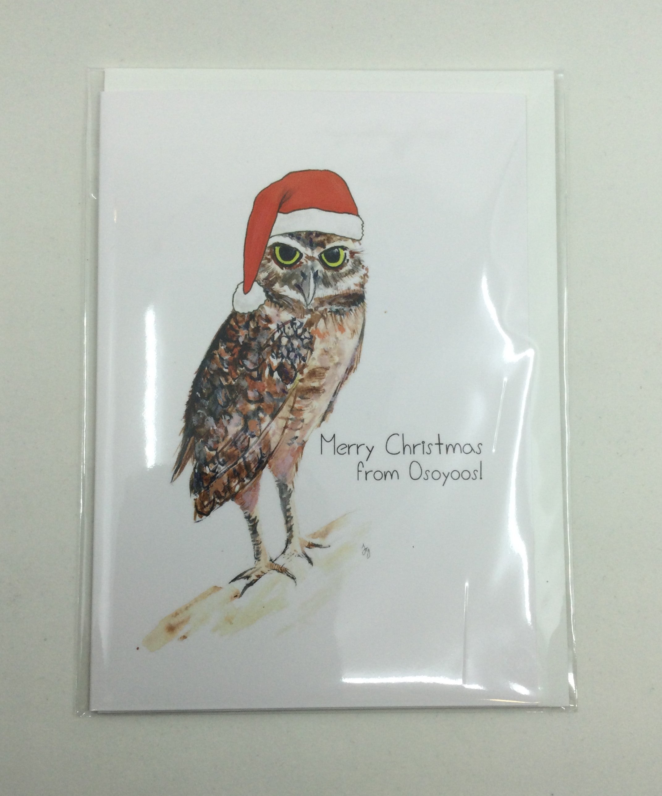 Local Art Cards by Jennifer Giffin - Xmas Burrowing Owl Merry Christmas