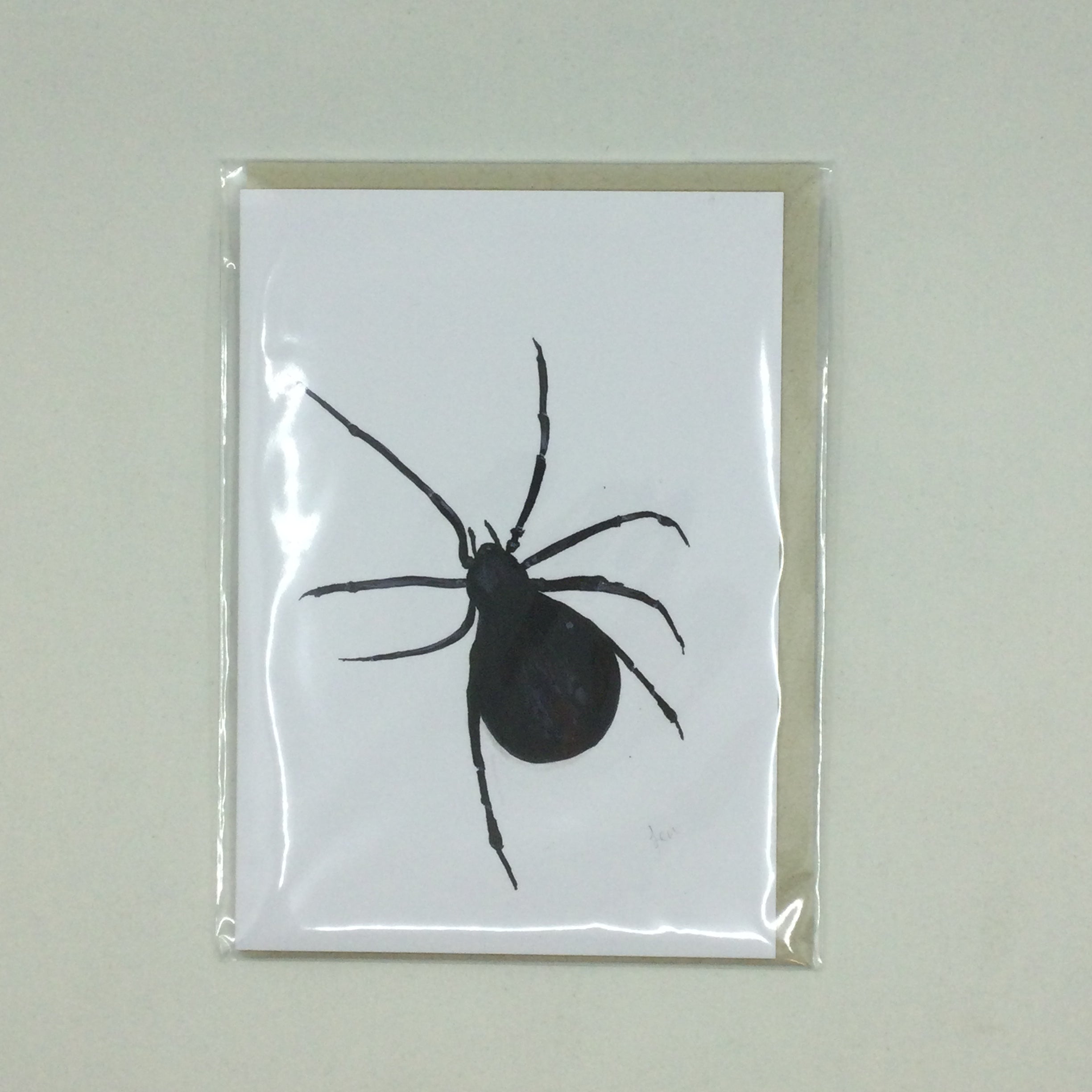 Local Art Cards by Jennifer Giffin - Black Widow Spider