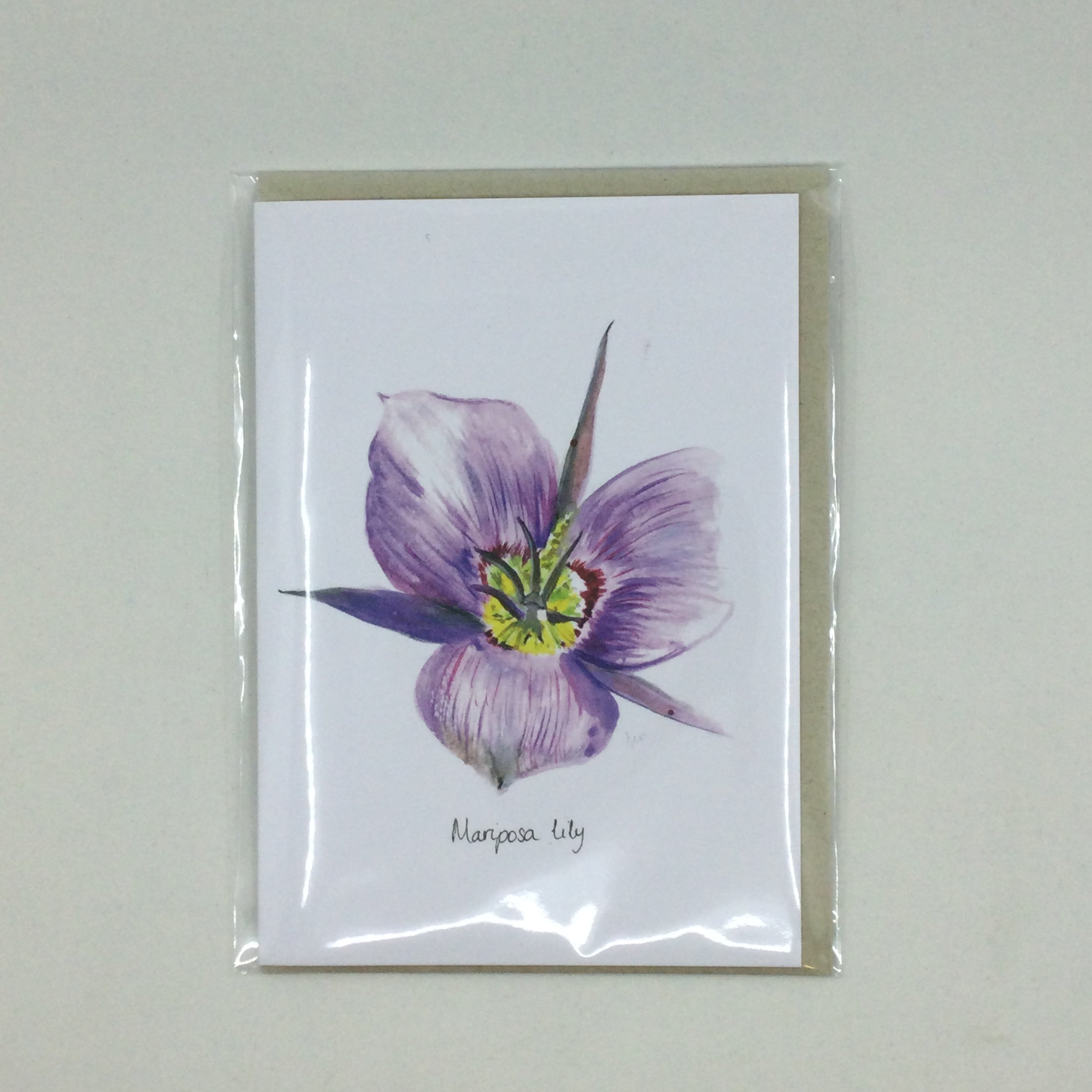 Local Art Cards by Jennifer Giffin