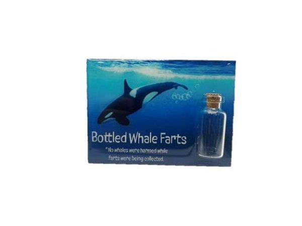 Souvenir Glass Vial Magnets