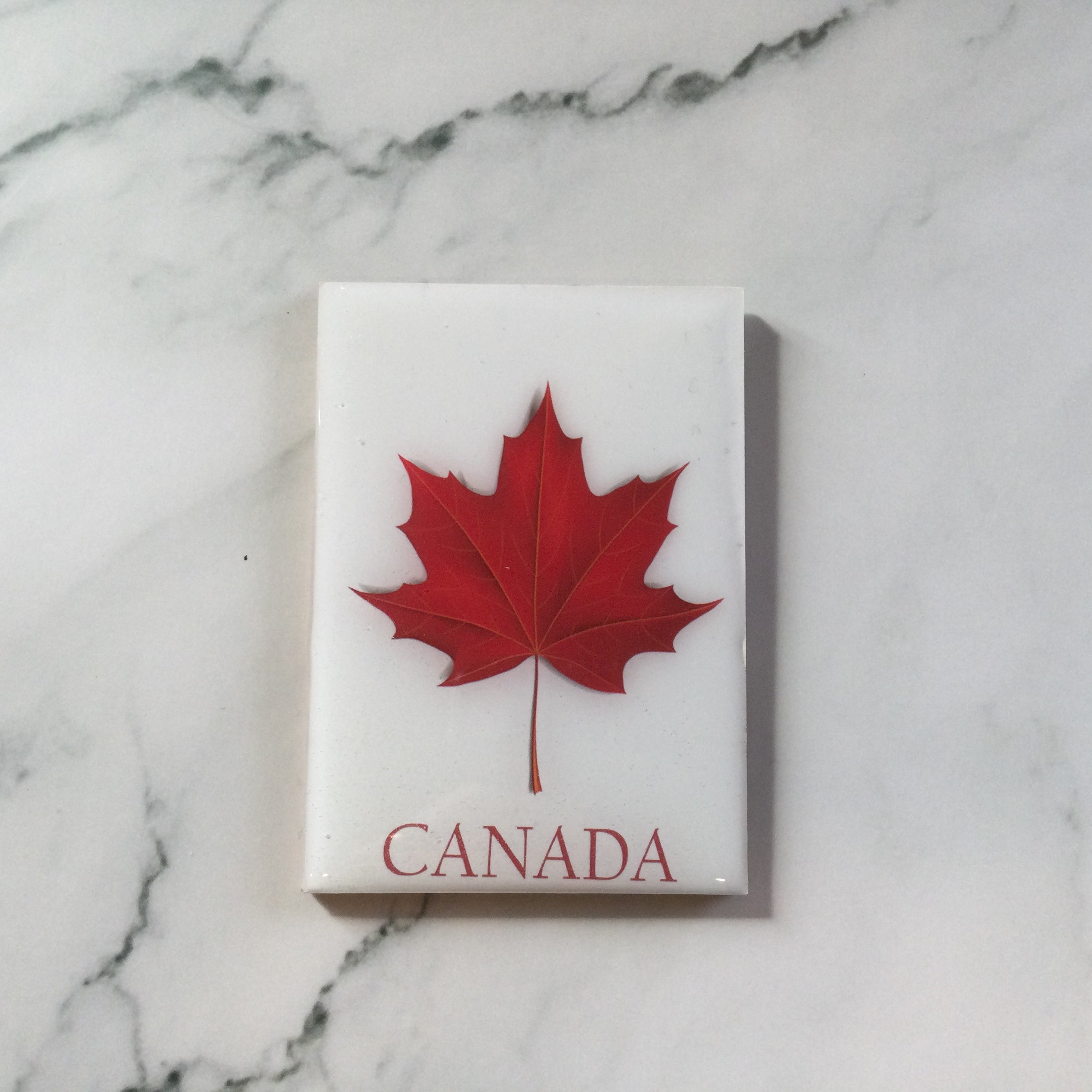 Resin Maple Leaf Magnet