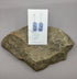 White Lotus Earrings