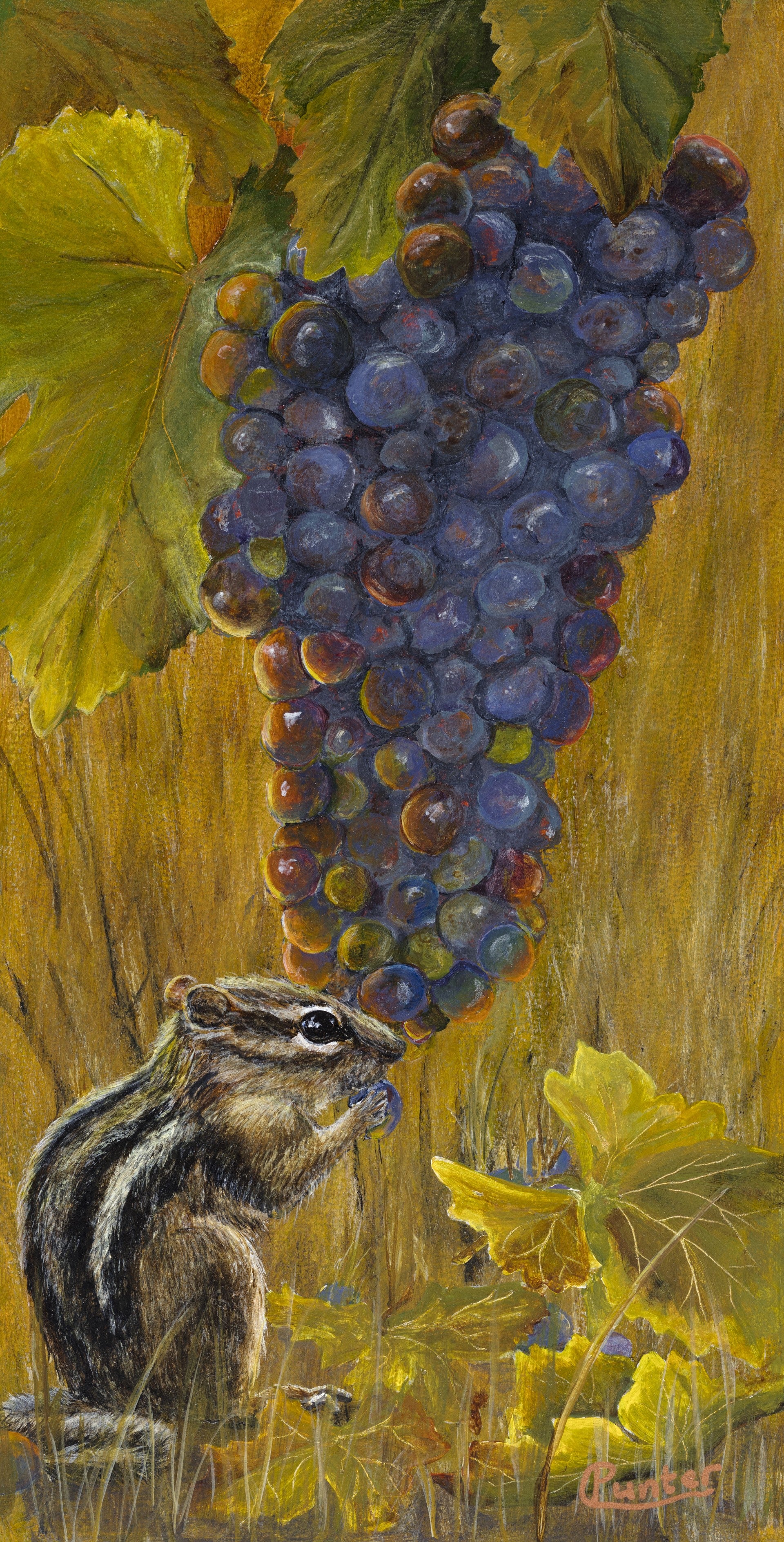 Greeting Cards by Claudia Punter