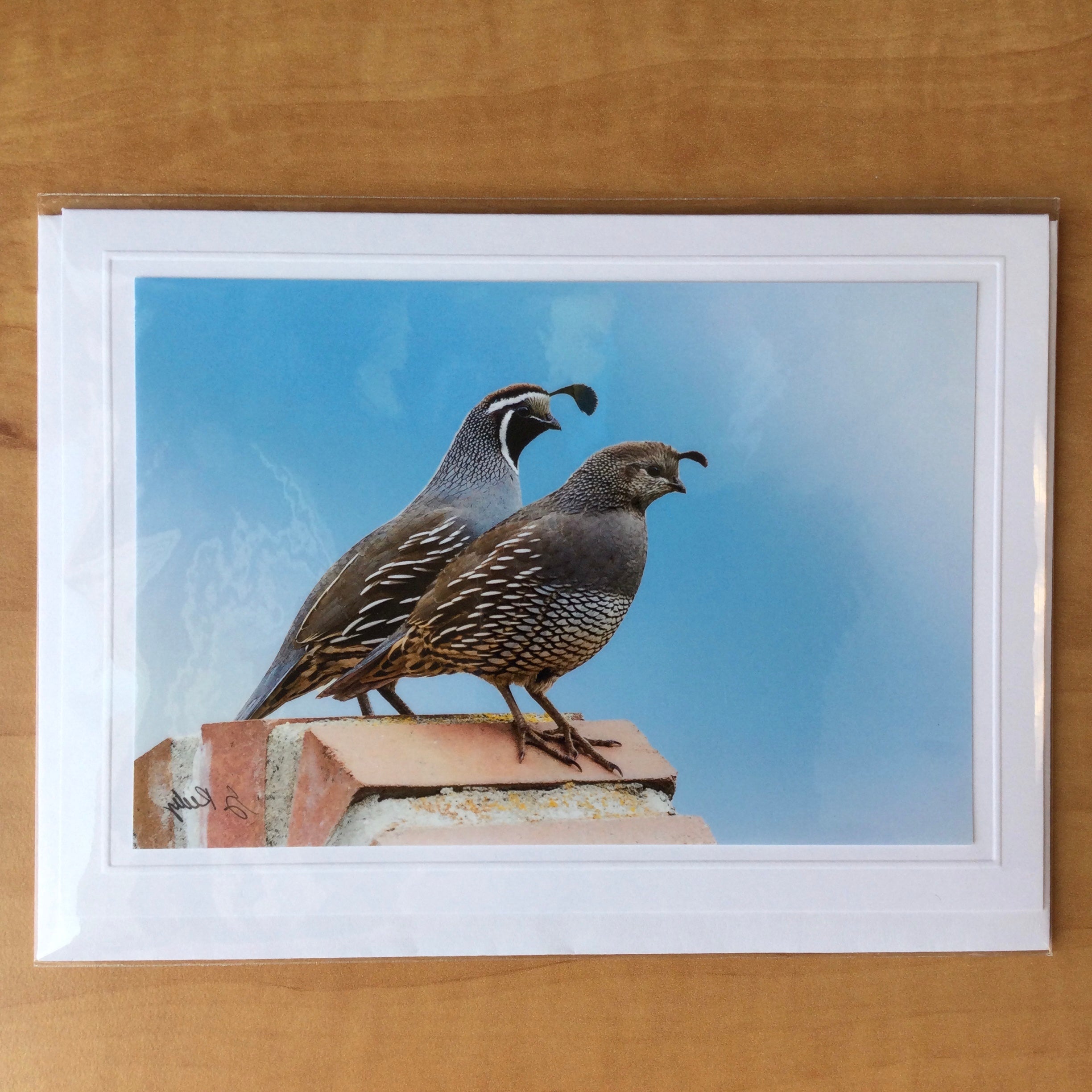 Photography Greeting Cards by Greg Reely