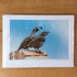 Photography Greeting Cards by Greg Reely