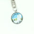 Osoyoos Picture Keychain