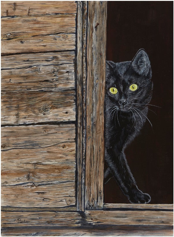 Greeting Cards by Claudia Punter