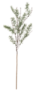 Pine Spray Décor