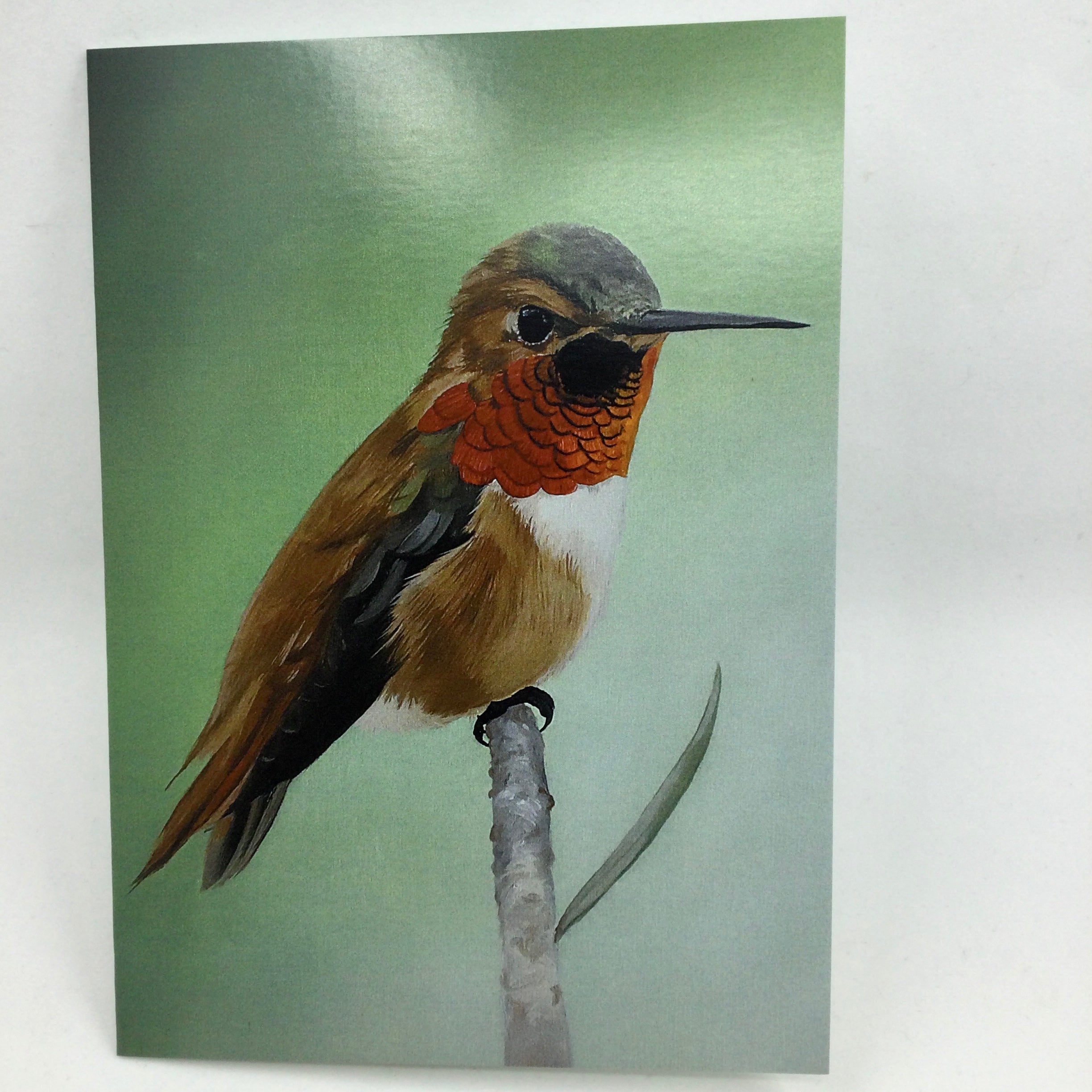 Local Art Cards by Jacqui Keseluk - Perching Rufous