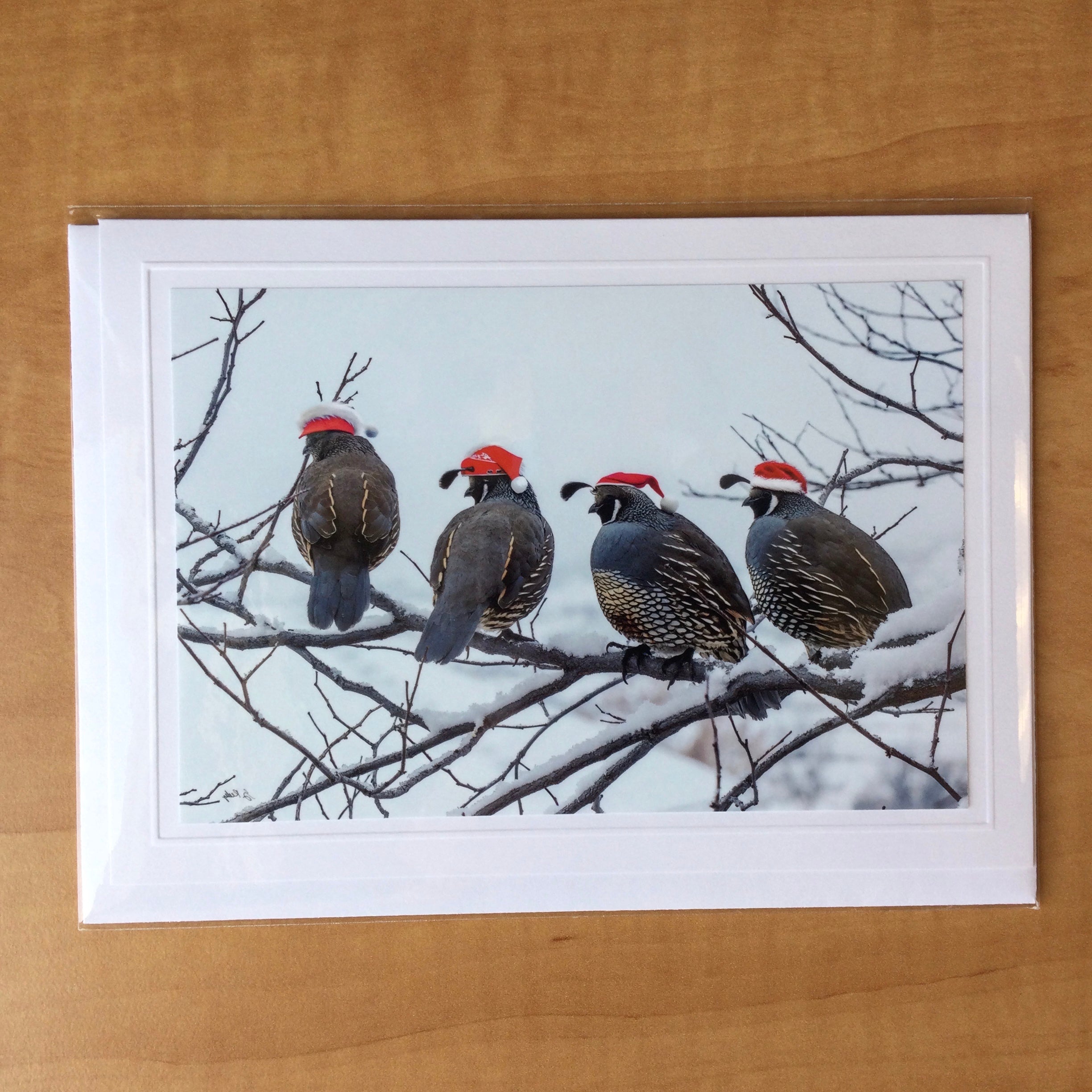 Photography Greeting Cards by Greg Reely