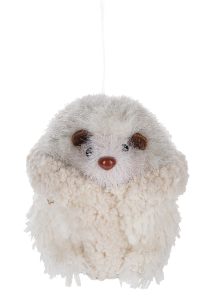 Snowy Hedgehog
