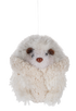 Snowy Hedgehog