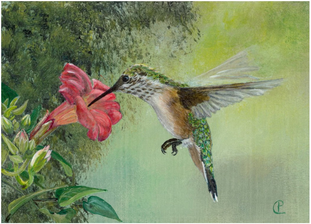 Greeting Cards by Claudia Punter