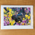 Photography Greeting Cards by Greg Reely