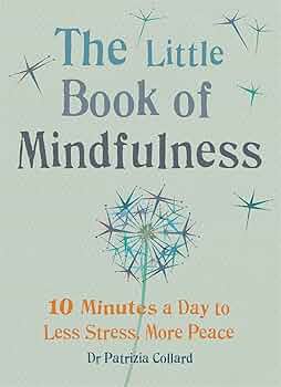 The Little Book Of Mindfulness - Dr. Patrizia Collard