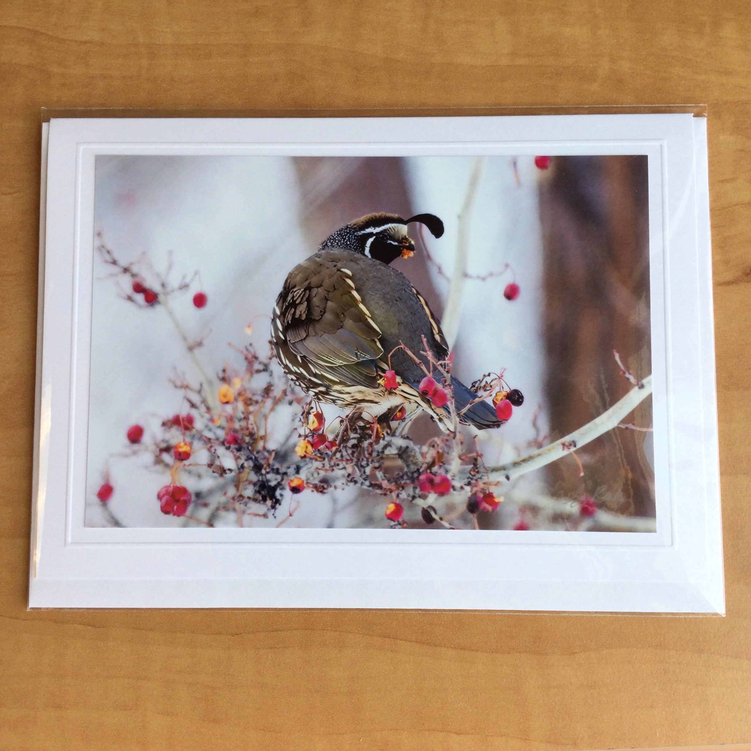 Photography Greeting Cards by Greg Reely