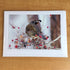 Photography Greeting Cards by Greg Reely