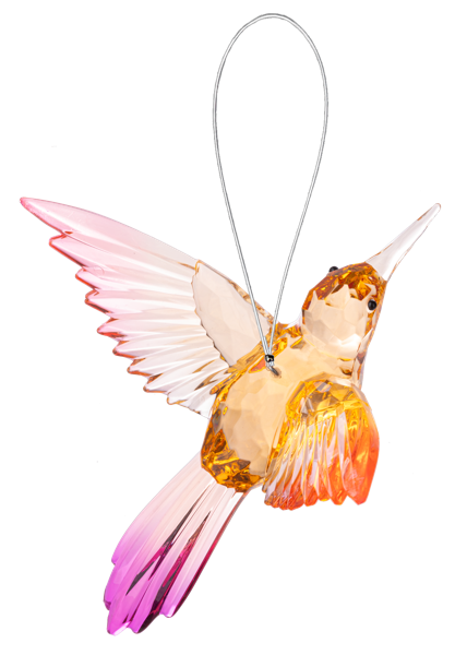 Vibrant Acrylic Hummingbird