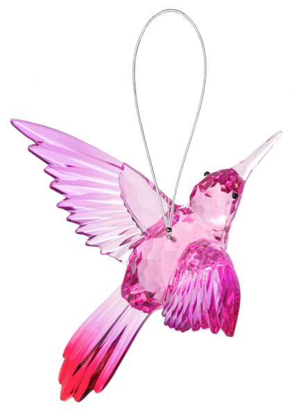 Vibrant Acrylic Hummingbird