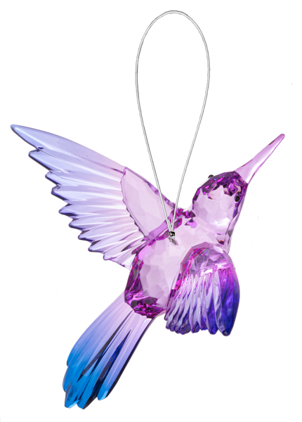 Vibrant Acrylic Hummingbird