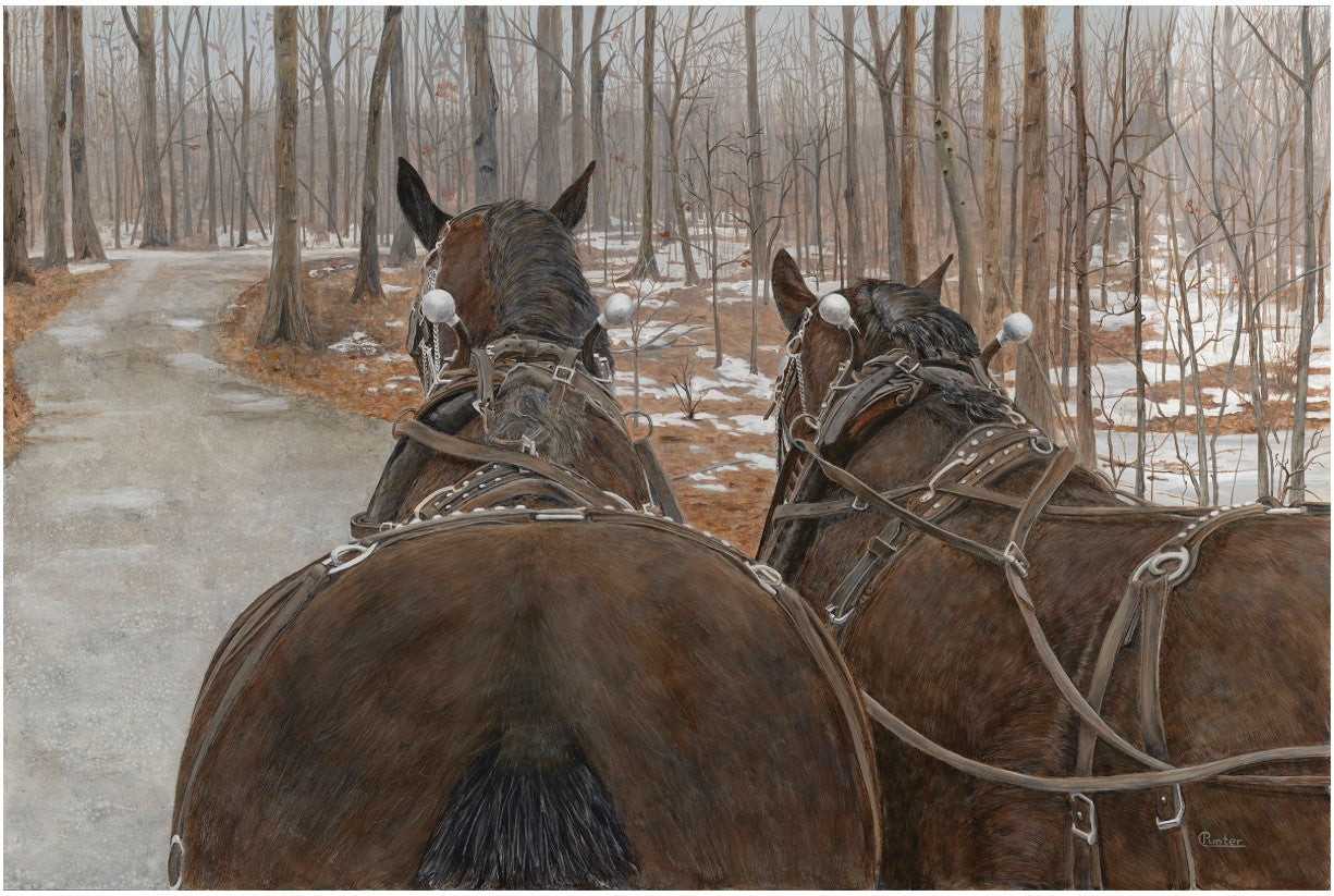 Greeting Cards by Claudia Punter