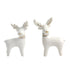 White Deer Small