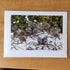 Photography Greeting Cards by Greg Reely